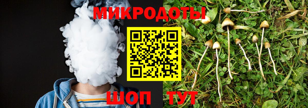 купить  цена  Вход с VPN  Галлюциногенные грибы Cubensis  Апшеронск  Галлюциногенные грибы Psilocybe 